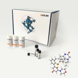 Apexbio Technology LLC KU-60019 925701-49-1 10mg