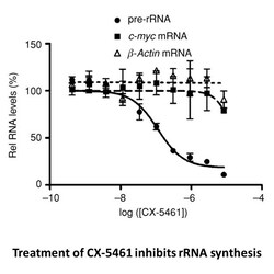Apexbio Technology LLC Potent and selective inhibitor of Pol I-mediated
