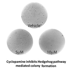 Apexbio Technology LLC Cyclopamine, 5mg. Cas: 4449-51-8 MFCD: MFCD09878269.