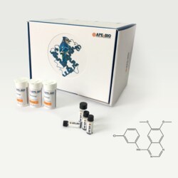 Apexbio Technology LLC selective EGFR inhibitor 153436-53-4. MFCD00270914,