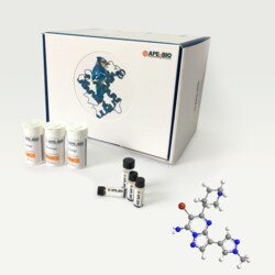 Apexbio Technology LLC selective Chk1 inhibitor 891494-63-6. MFCD23135226,