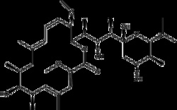 Apexbio Technology LLC Bafilomycin A1 | 88899-55-2 | MFCD06795130 | 500ug,