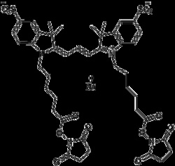Apexbio Technology LLC CY3 BIS NHS ESTER 5MG, Quantity: Pack of 1
