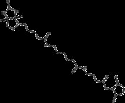 Apexbio Technology LLC NHS-12-Biotin, 1g. Cas: MFCD: NA. Amine-reactive