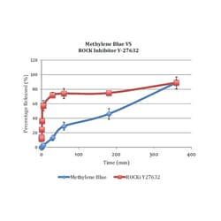 Apexbio Technology LLC Y-27632, 146986-50-7, MFCD03093855, 10 mg, Quantity: