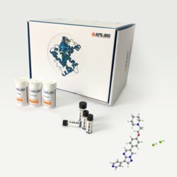 Apexbio Technology LLC Dorsomorphin 2HCl, 10mg. Cas: 1219168-18-9 MFCD: