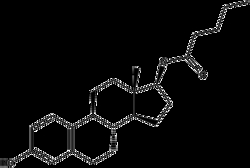 Apexbio Technology LLC Estradiol valerate, 5g Cas# 979-32-8, Quantity: