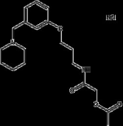 Apexbio Technology LLC Roxatidine Acetate HCl, 5g Cas# 93793-83-0, Quantity:
