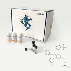 Apexbio Technology LLC Bepotastine Besilate, 10mg. Cas: 190786-44-8 MFCD: