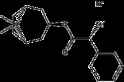 Apexbio Technology LLC&nbsp;Homatropine Methylbromide 80-49-9 50mg