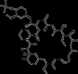 Apexbio Technology LLC&nbsp;Ridaforolimus (Deforolimus, MK-8669) 572924-54-0 10mg
