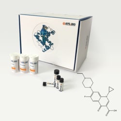 Apexbio Technology LLC Enrofloxacin, 10g Cas# 93106-60-6, Quantity: Each