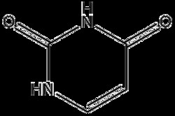 Apexbio Technology LLC&nbsp;Uracil 66-22-8 1g