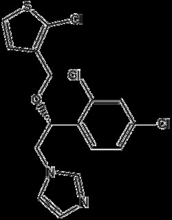 Apexbio Technology LLC Tioconazole 65899-73-2 5g, Quantity: Pack of 1