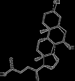 Apexbio Technology LLC&nbsp;Ursodiol 128-13-2 1g