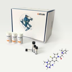 Apexbio Technology LLC GSK2656157, 100mg. Cas: 1337532-29-2 MFCD: MFCD27997885.
