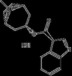 Apexbio Technology LLC&nbsp;Tropisetron Hydrochloride 105826-92-4  1g