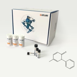 Apexbio Technology LLC Pirfenidone, 100mg Cas# 53179-13-8, Quantity: Each