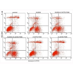Apexbio Technology LLC Caspase-8 inhibitor 210344-98-2. MFCD03490491, Quantity: