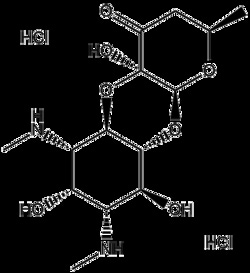 Apexbio Technology LLC Spectinomycin dihydrochloride,1g CAS# 21736-83-4,