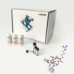 Apexbio Technology LLC Eptifibatide, 10mg. Cas: 188627-80-7 MFCD: MFCD05662245.