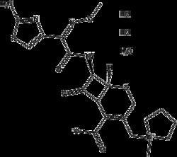 Apexbio Technology LLC CEFEPIME 2HCL-H2O 500MG