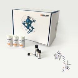 Apexbio Technology LLC BV6, 100mg. Cas: 1001600-56-1 MFCD: MFCD28168021.