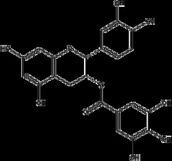 Apexbio Technology LLC (-)-epicatechin gallate,5mg CAS# 1257-08-5, Quantity: