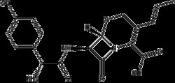 Apexbio Technology LLC&nbsp;Cefprozil 92665-29-7 5mg