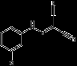 Apexbio Technology LLC&nbsp;CCCP,500mg  CAS#  555-60-2