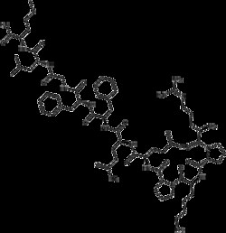 Apexbio Technology LLC Substance P,5mg CAS# 33507-63-0, Quantity: Pack