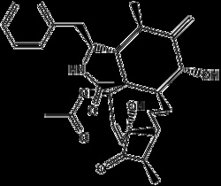 Apexbio Technology LLC CYTOCHALASIN D 5MG, Quantity: Pack of 1