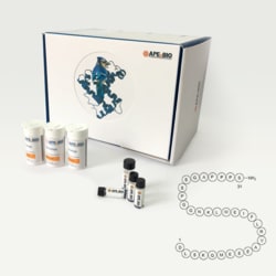 Apexbio Technology LLC Exendin-3 (9-39) amide, 1mg. Cas: 133514-43-9 MFCD: