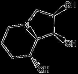 Apexbio Technology LLC SWAINSONINE 1MG, Quantity: Pack of 1