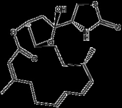 Apexbio Technology LLC LATRUNCULIN A 25UG SOLUTION, Quantity: Pack of 1