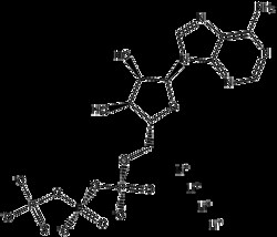 Apexbio Technology LLC ATP947 S TETRALI. SALT 5MG, Quantity: Pack of 1