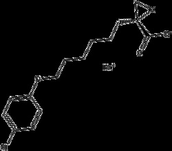 Apexbio Technology LLC (R)-(+)-Etomoxir sodium salt,10mg  CAS#  828934-41-4