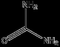 Apexbio Technology LLC&nbsp;Urea,1kg  CAS#  57-13-6
