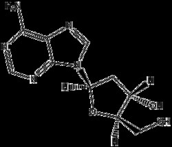 Apexbio Technology LLC&nbsp;2-Deoxyadenosine 958-09-8 100mg
