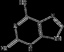Apexbio Technology LLC&nbsp;Guanine 73-40-5 5g