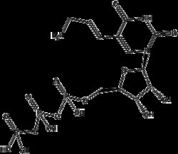 Apexbio Technology LLC Aminoallyl-UTP 100ul (10mM), Quantity: Pack of 1