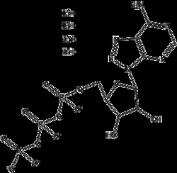 Apexbio Technology LLC&nbsp;8-AZA-ATP 10UL 100 MM