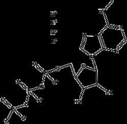 Apexbio Technology LLC&nbsp;N6-Methyl-ATP,10ul (100 mM)
