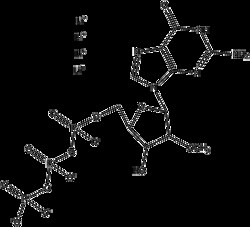Apexbio Technology LLC&nbsp;2'-O-METHYL-GTP 10UL 100 MM
