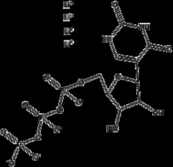 Apexbio Technology LLC&nbsp;Pseudo-UTP, 10ul (100 mM). Cas:  MFCD: NA.