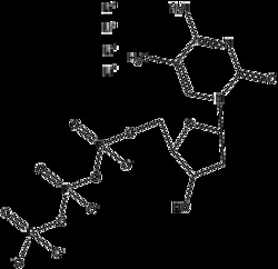 Apexbio Technology LLC 5-METHYL-DCTP 10UL 100 MM