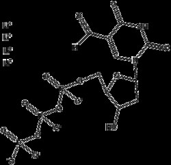 Apexbio Technology LLC&nbsp;5-Formyl-dUTP(Synonyms: 5-Formyl-2'-deoxyuridine-5'-triphosphate, 5-Formyl-dUTP, f-dUTP, 5-fdUTP), 100ul (100 mM).