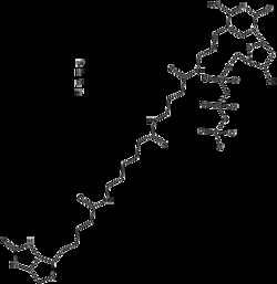 Apexbio Technology LLC Biotin-16-dCTP,10ul (5 mM)