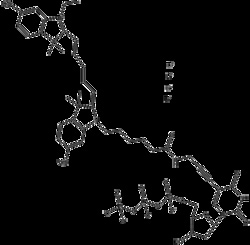 Apexbio Technology LLC&nbsp;Cyanine 5-dUTP,5ul (10 mM)