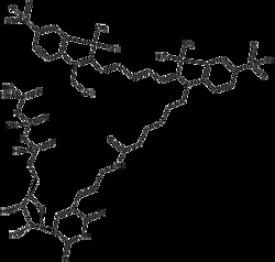 Apexbio Technology LLC Cy5-UTP, 25ul (10mM). Cas: MFCD: NA. used as a substrate